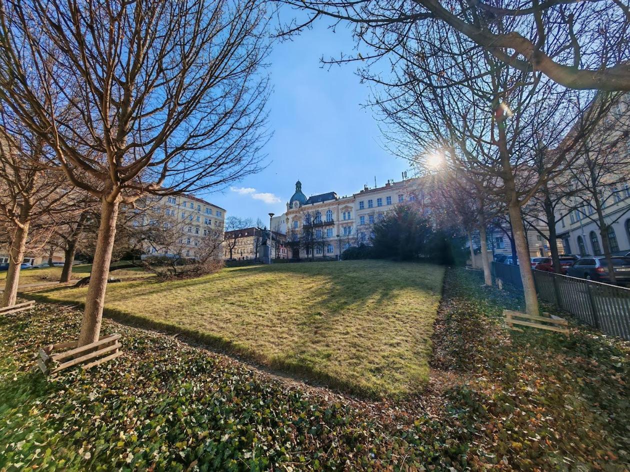 Apartment Flat In Zizkov With Free Underground Parking -501- Prague