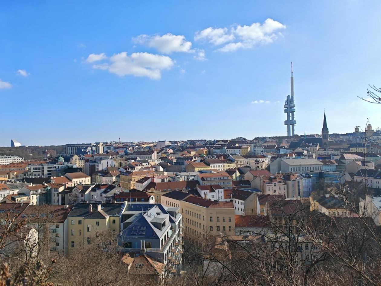 Flat In Zizkov With Free Underground Parking -501- Prague