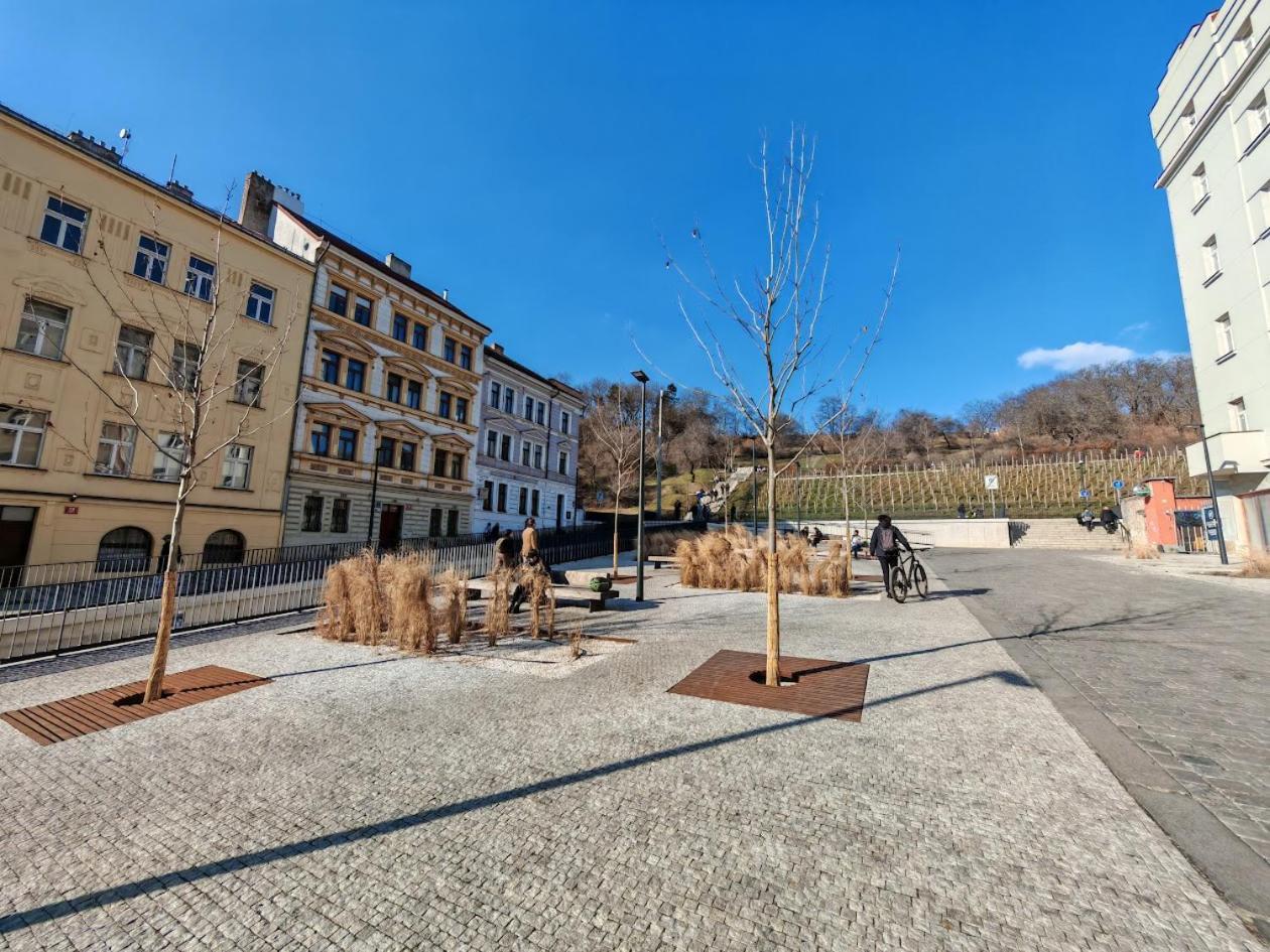 Apartment Flat In Zizkov With Free Underground Parking -501-