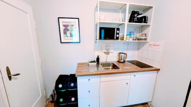Apartment Flat In Zizkov With Free Underground Parking -501- *